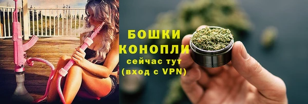 mix Гусиноозёрск