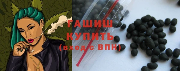 дмт Гусев