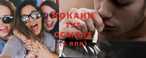 дмт Гусев