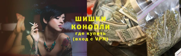 дмт Гусев