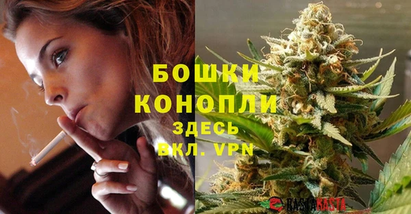 альфа пвп Горно-Алтайск