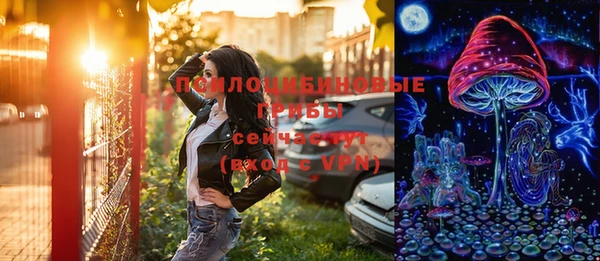 дмт Гусев