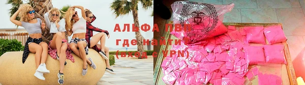 дмт Гусев