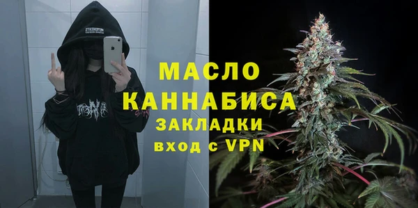 дмт Гусев